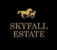 Skyfall Estate logo
