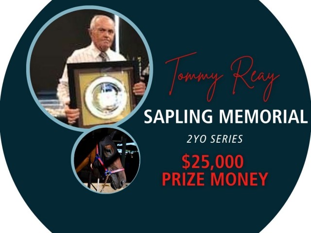2025 Tommy Reay Website Tile