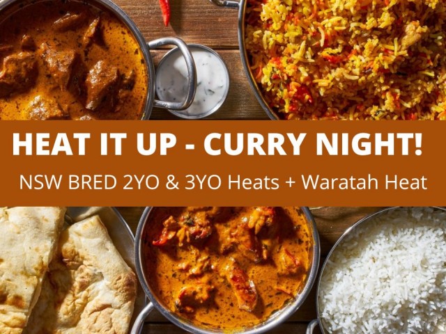 HEAT IT UP Curry Night Web