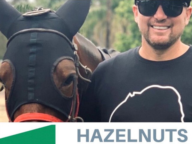 Hazelnuts news