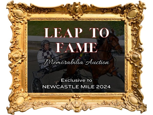 Leap to FAme auction image