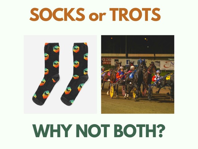 SOCKS OR TROTS 1 v2