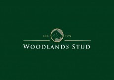 Woodlands Logo Green Background 01