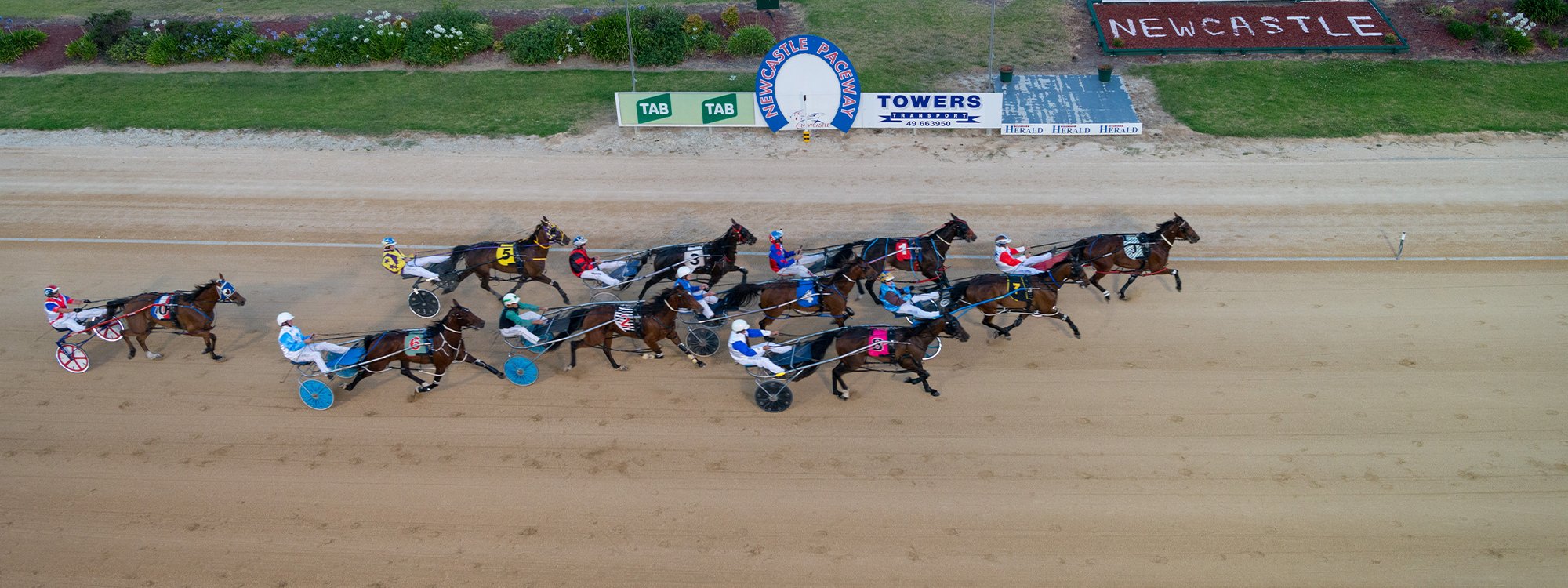 Tip 85+ about harness racing australia fields latest daotaonec