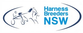 hbnsw logo 2018